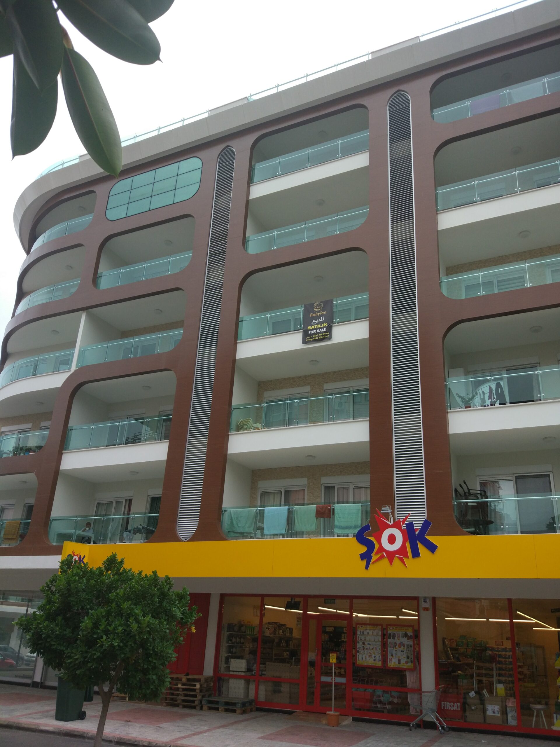 Best Home 20 Cleopatra Select